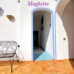 Stella Del Mattino 公寓 *