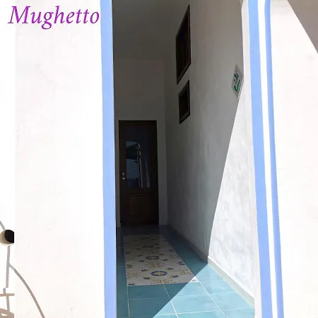 Stella Del Mattino Lejlighed *