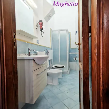 Stella Del Mattino *